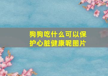 狗狗吃什么可以保护心脏健康呢图片