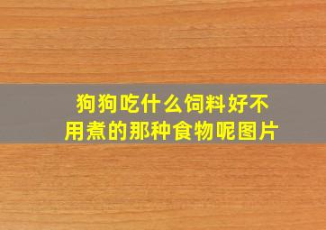 狗狗吃什么饲料好不用煮的那种食物呢图片