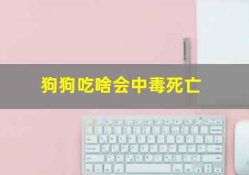 狗狗吃啥会中毒死亡