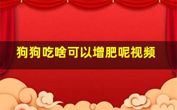 狗狗吃啥可以增肥呢视频