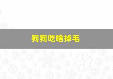 狗狗吃啥掉毛