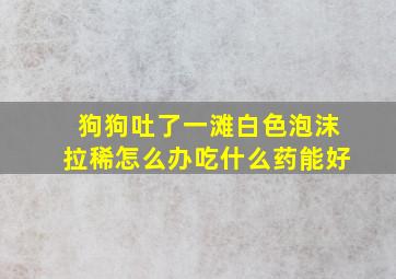 狗狗吐了一滩白色泡沫拉稀怎么办吃什么药能好