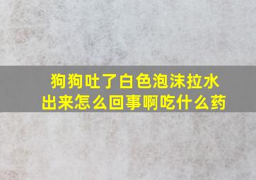 狗狗吐了白色泡沫拉水出来怎么回事啊吃什么药