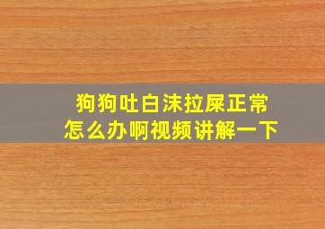 狗狗吐白沫拉屎正常怎么办啊视频讲解一下