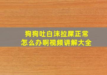 狗狗吐白沫拉屎正常怎么办啊视频讲解大全