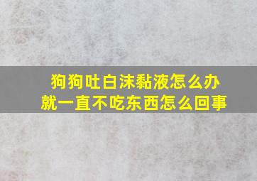 狗狗吐白沫黏液怎么办就一直不吃东西怎么回事