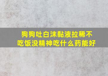 狗狗吐白沫黏液拉稀不吃饭没精神吃什么药能好