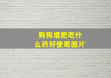 狗狗增肥吃什么药好使呢图片