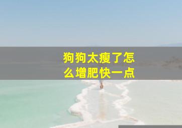 狗狗太瘦了怎么增肥快一点