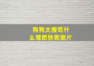 狗狗太瘦吃什么增肥快呢图片