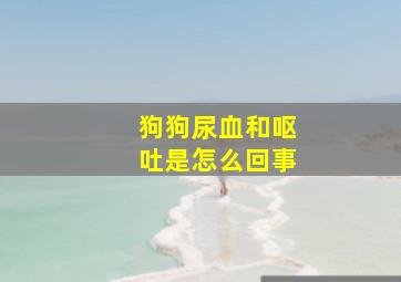 狗狗尿血和呕吐是怎么回事