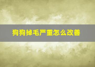 狗狗掉毛严重怎么改善