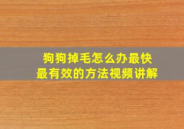 狗狗掉毛怎么办最快最有效的方法视频讲解