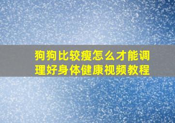 狗狗比较瘦怎么才能调理好身体健康视频教程