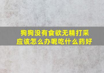 狗狗没有食欲无精打采应该怎么办呢吃什么药好