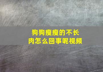 狗狗瘦瘦的不长肉怎么回事呢视频