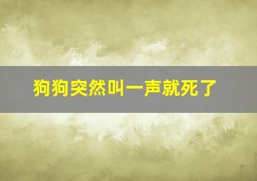 狗狗突然叫一声就死了