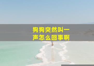 狗狗突然叫一声怎么回事啊