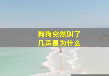 狗狗突然叫了几声是为什么