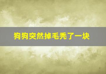 狗狗突然掉毛秃了一块