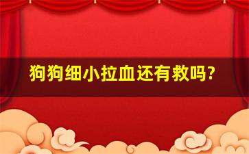 狗狗细小拉血还有救吗?