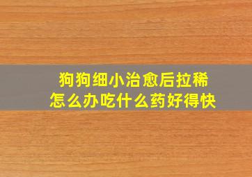 狗狗细小治愈后拉稀怎么办吃什么药好得快