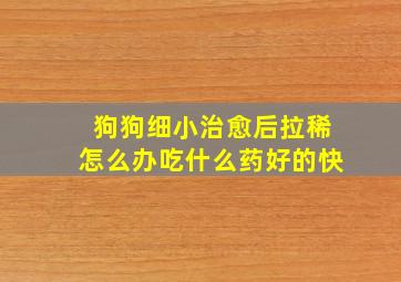 狗狗细小治愈后拉稀怎么办吃什么药好的快