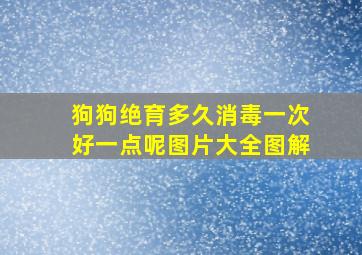 狗狗绝育多久消毒一次好一点呢图片大全图解