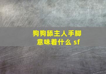 狗狗舔主人手脚意味着什么 sf