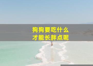 狗狗要吃什么才能长胖点呢