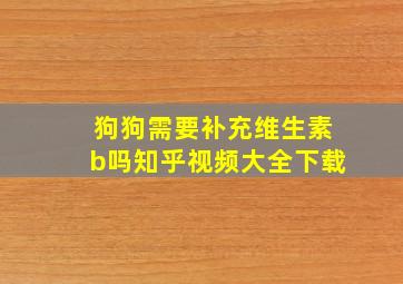 狗狗需要补充维生素b吗知乎视频大全下载