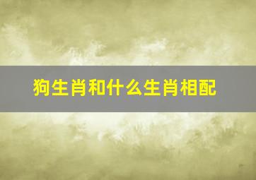 狗生肖和什么生肖相配