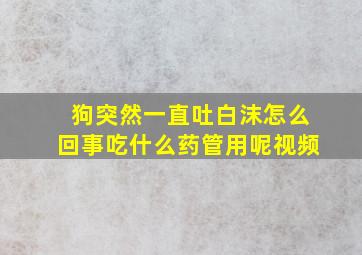 狗突然一直吐白沫怎么回事吃什么药管用呢视频