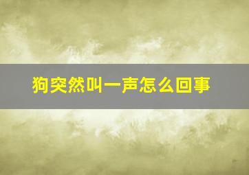 狗突然叫一声怎么回事