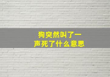 狗突然叫了一声死了什么意思