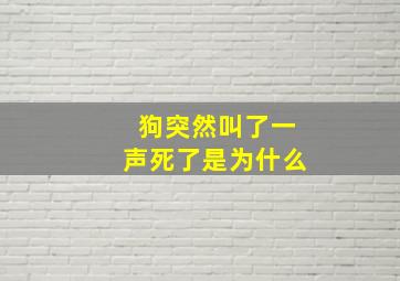 狗突然叫了一声死了是为什么