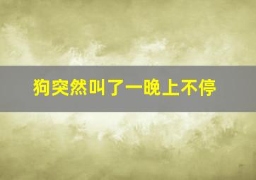 狗突然叫了一晚上不停