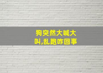 狗突然大喊大叫,乱跑咋回事