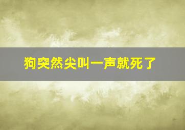 狗突然尖叫一声就死了