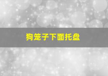 狗笼子下面托盘