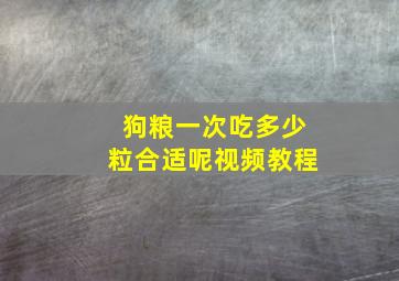 狗粮一次吃多少粒合适呢视频教程