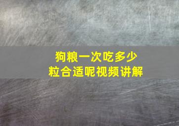 狗粮一次吃多少粒合适呢视频讲解