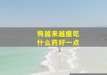 狗越来越瘦吃什么药好一点