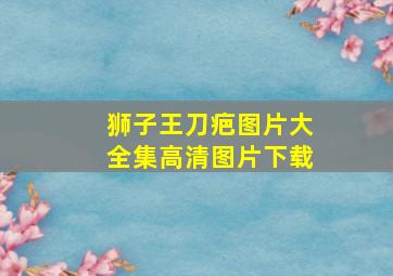 狮子王刀疤图片大全集高清图片下载