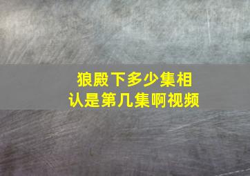 狼殿下多少集相认是第几集啊视频