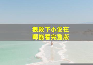 狼殿下小说在哪能看完整版