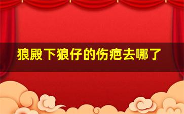 狼殿下狼仔的伤疤去哪了