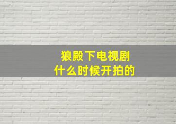 狼殿下电视剧什么时候开拍的