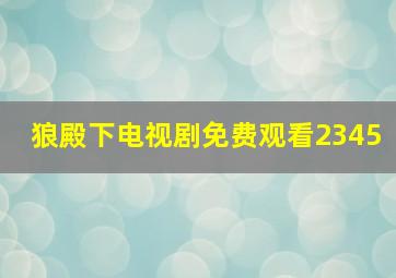 狼殿下电视剧免费观看2345