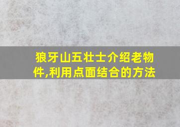 狼牙山五壮士介绍老物件,利用点面结合的方法